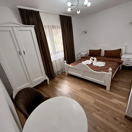 Casa Croitoru Maramures *